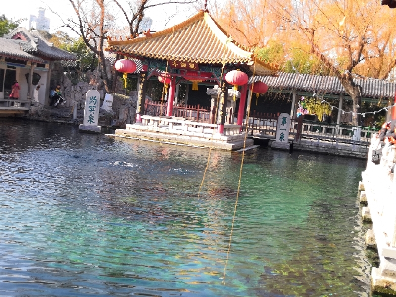 曲阜三孔 泰山 趵突泉 大明湖之行