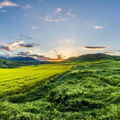 景点模块 