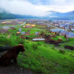 景点模块 