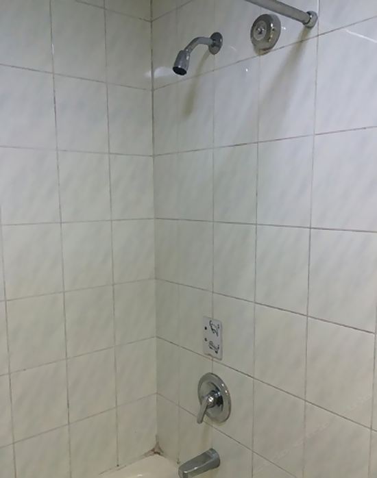 家庭套房