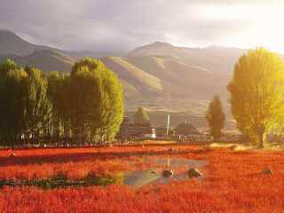 8月西藏林芝旅游_西藏林芝半自由行_西藏林芝特價旅游團(tuán)報價