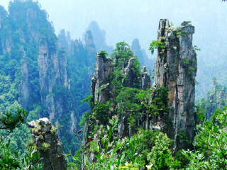 去張家界旅游_張家界旅游5日游_張家界五日游