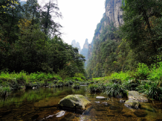去張家界旅游_張家界旅游5日游_張家界五日游