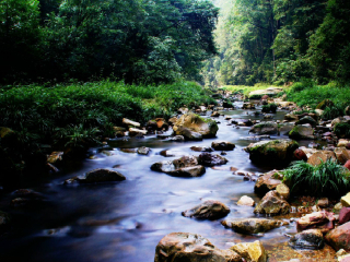 去張家界旅游_張家界旅游5日游_張家界五日游