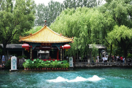 <济南双高3日游>上海往返，泉城舒适酒店，打泉水体验，寻泉活动，泉城舒适酒店，喝喝茶，听听曲，坐坐船，酒店上门接，接送站