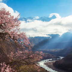 景点模块 
