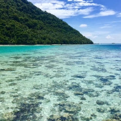 景点模块 
