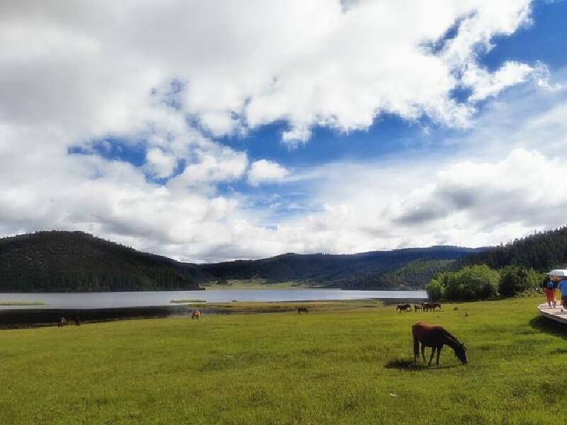 普达措公园是以属都湖,碧塔海和弥里塘亚高山牧场三个景区