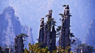目前張家界旅游報價費用（目前張家界旅游報價費用多少錢）