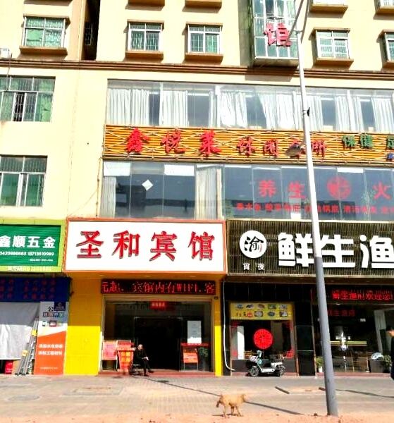 外观
