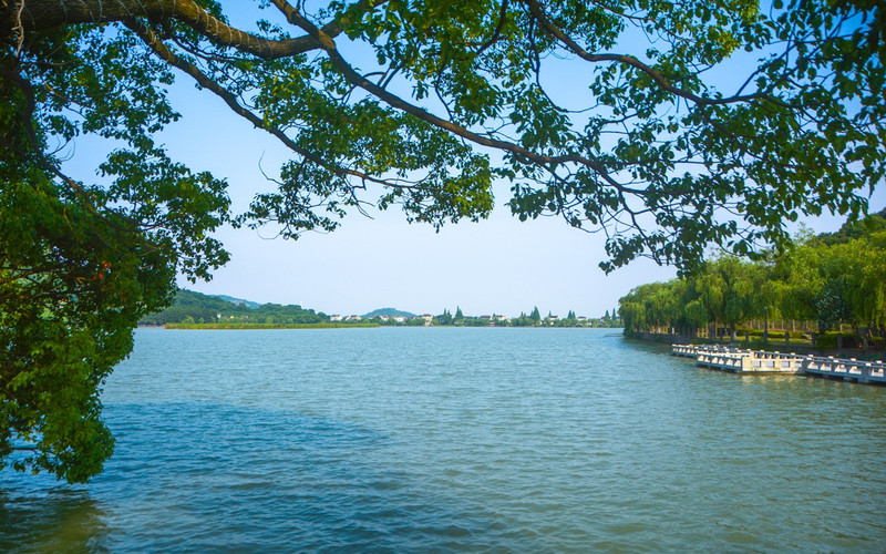 堤岸两侧奇特的树干,也是一道靓丽的风景线,枝干尽伸,仿佛渴了要尝一