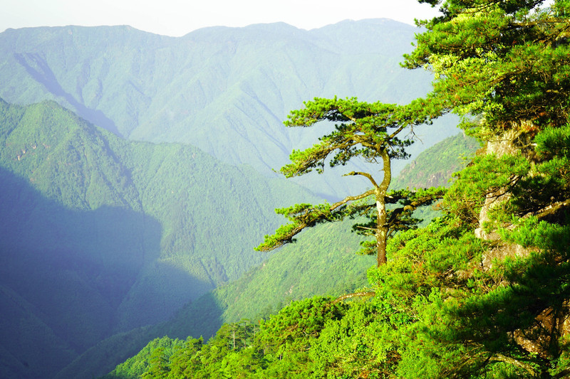 丽水龙泉山            