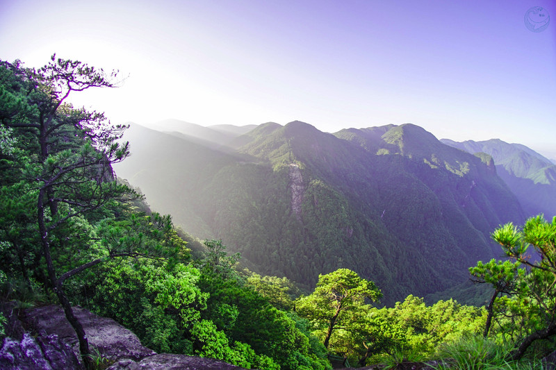 丽水龙泉山            