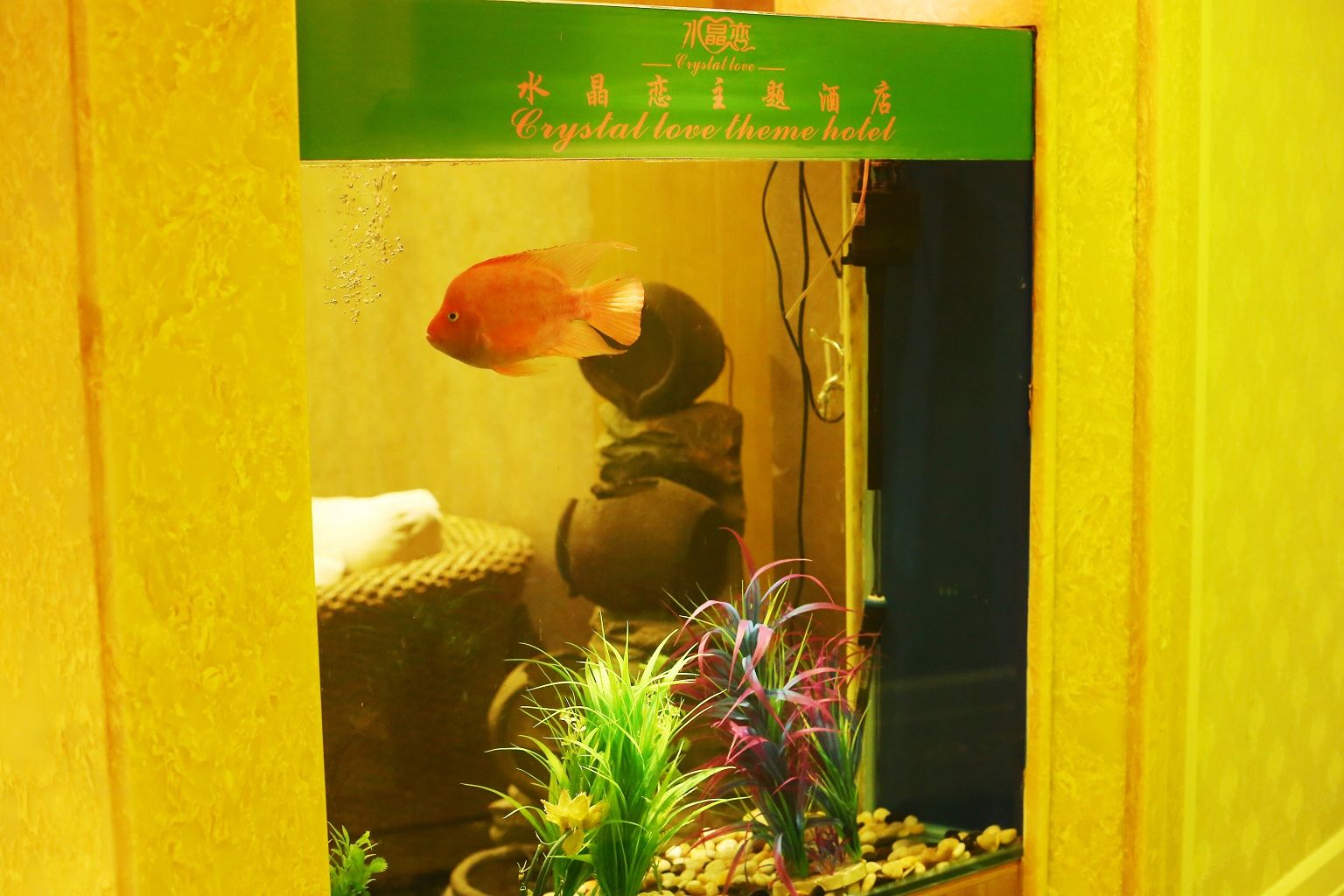 公共区域