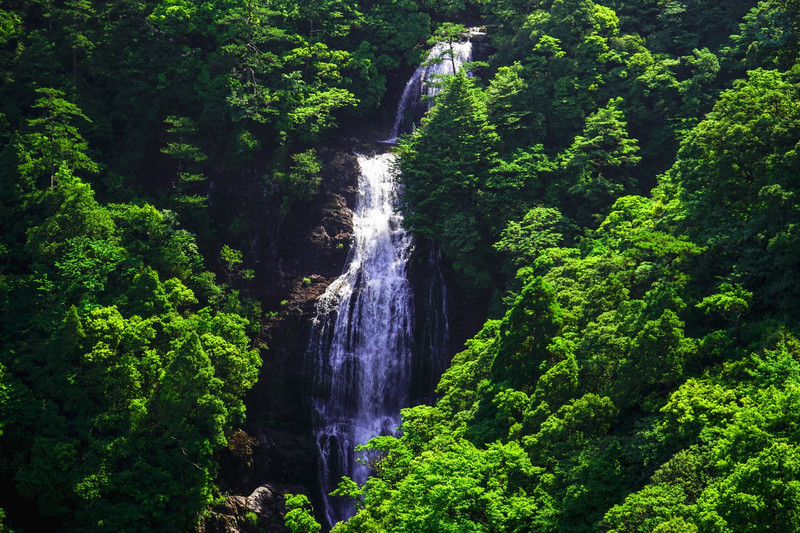 丽水龙泉山            