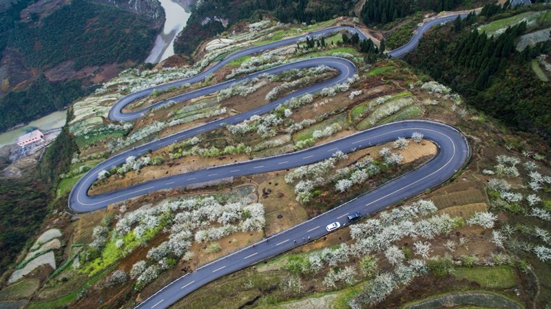 赤水河谷《乌蒙花海》主要以叙永县赤水镇,石厢子彝族乡,水潦彝族乡和