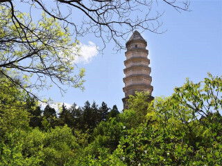 8月到西安兵马俑旅游_西安兵马俑旅游十一日游_到西安兵马俑7日旅游