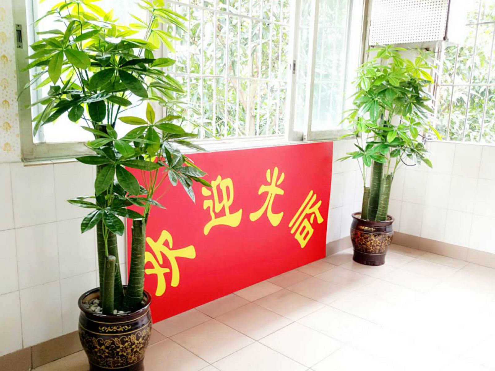 公共区域