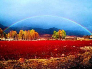 春節(jié)四川稻城亞丁旅行團(tuán)_四川稻城亞丁10月旅行團(tuán)價格_去四川稻城亞丁旅游要多少錢