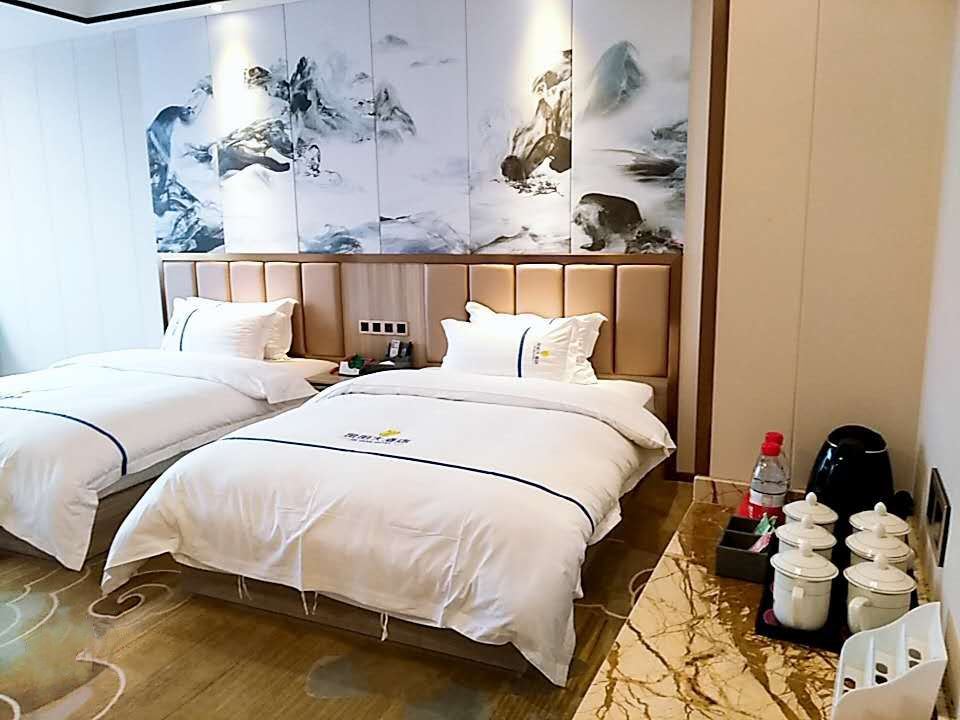 豪华双床房