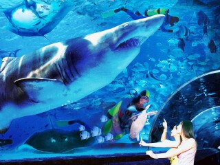 組團(tuán)去大連_大連私人定制旅游_深圳到大連旅游報(bào)價(jià)