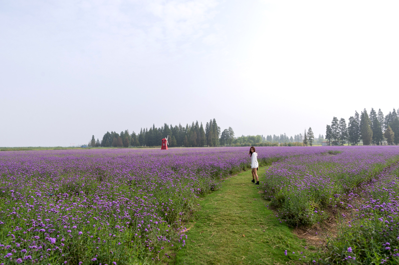 走进南京后花园高淳,感受固城湖水慢城的慢时光