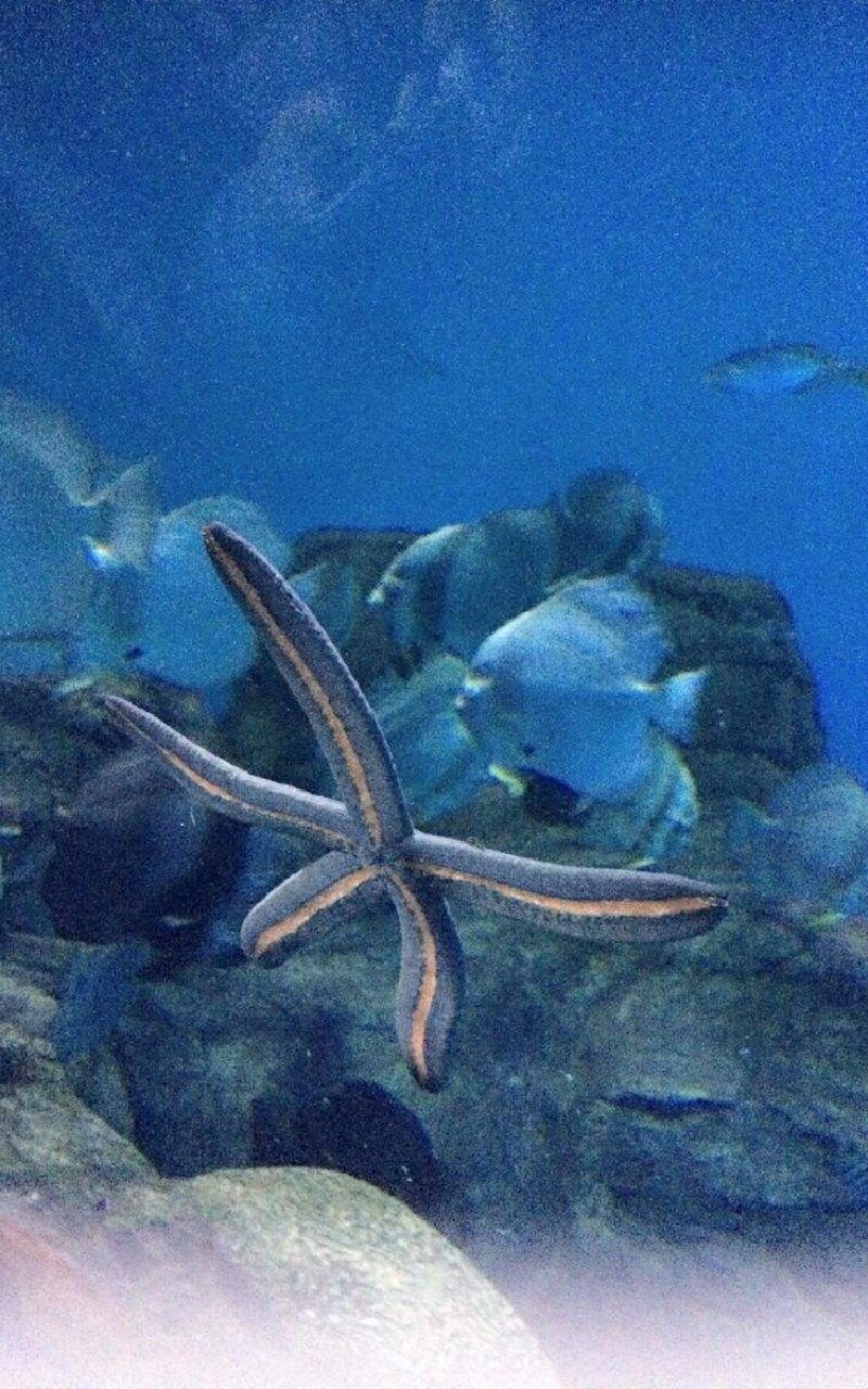 认知海洋第一站,南京海底世界