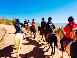 怎么去云南香格里拉旅游_深圳特價(jià)云南香格里拉游_去云南香格里拉靠譜的旅行團(tuán)