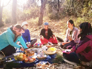 去云南麗江旅游_云南麗江游特價團_云南麗江游花多少錢