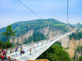 8月湖南張家界旅游_湖南張家界跟團(tuán)還是自由行
