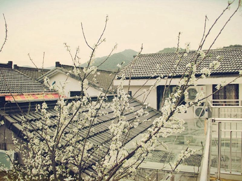 酒店大堂