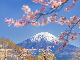 日本10日游旅行团_旅行线路日本_日本5天跟团旅游