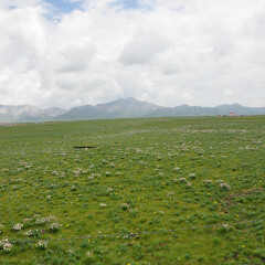 小交通模块 