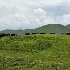 小交通模块 