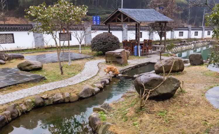 酒店大堂