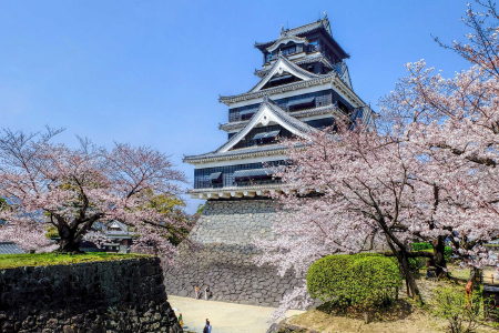 <日本东京-箱根-富士山-京都-大阪6日游>大连起止，南航，温泉酒店，奥特莱斯，富士山，银座，心斋桥