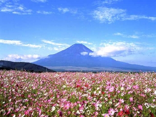 2021年日本旅游團(tuán)報(bào)價(jià)_8月日本旅游_日本跟團(tuán)還是自由行