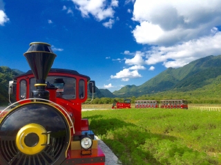 重慶跟團(tuán)游與自由行_重慶旅游幾月份最便宜_重慶幾月份適合旅游