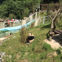 景点模块 