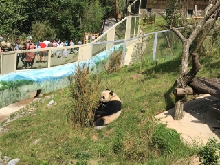 2021去湖北恩施大峽谷旅游團(tuán)報(bào)價(jià)_旅游團(tuán)湖北恩施大峽谷_湖北恩施大峽谷自由行組團(tuán)