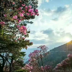 景点模块 