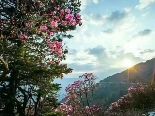 2021去湖北恩施大峽谷旅游團(tuán)報(bào)價(jià)_旅游團(tuán)湖北恩施大峽谷_湖北恩施大峽谷自由行組團(tuán)