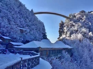 重慶跟團(tuán)游與自由行_重慶旅游幾月份最便宜_重慶幾月份適合旅游