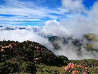 2021去湖北恩施大峽谷旅游團(tuán)報(bào)價(jià)_旅游團(tuán)湖北恩施大峽谷_湖北恩施大峽谷自由行組團(tuán)