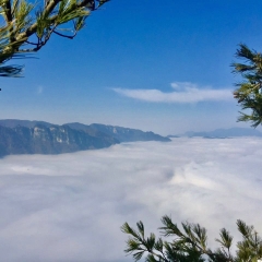 景点模块 