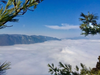 重慶跟團(tuán)游與自由行_重慶旅游幾月份最便宜_重慶幾月份適合旅游
