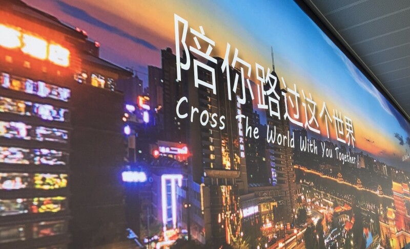 陪你路过这个世界,甜蜜的澳洲.
