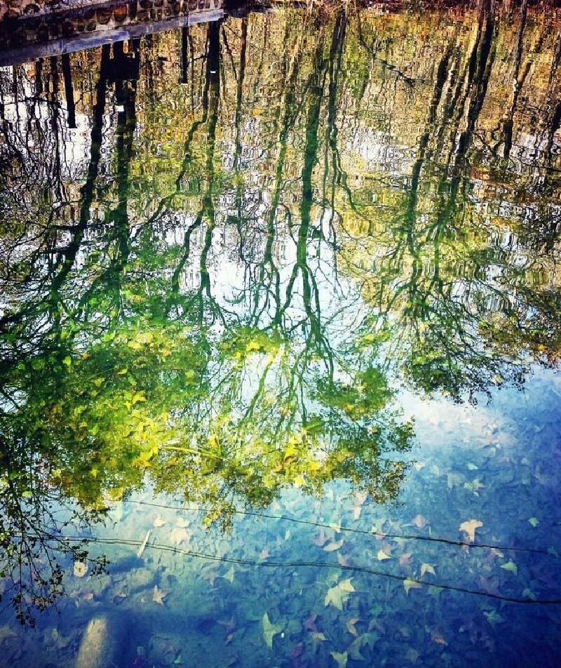 断章 (卞之琳) 你站在桥上看风景