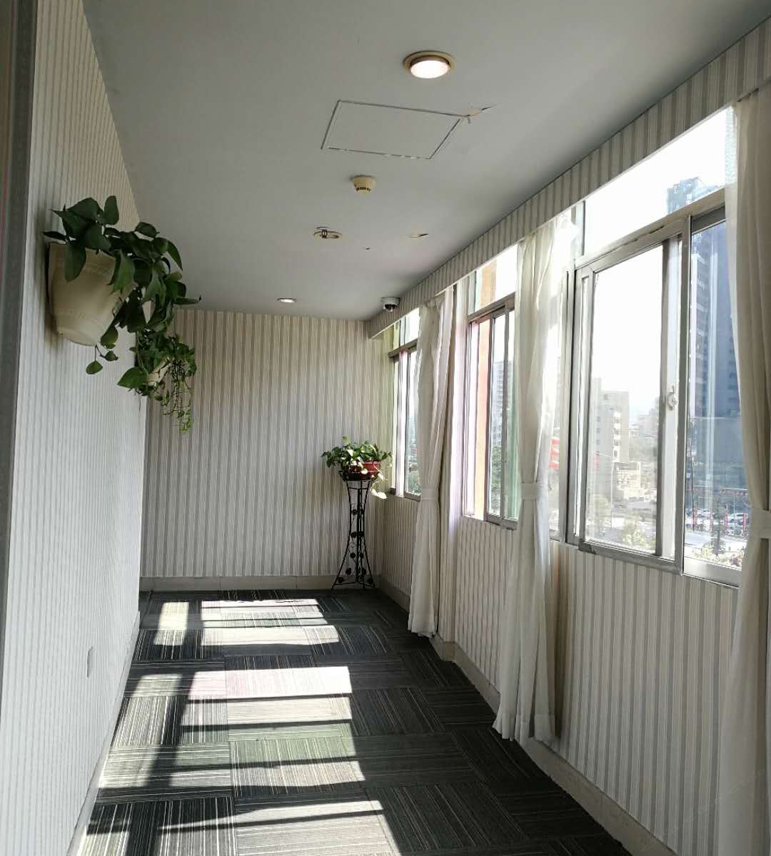 温馨大床房B(无窗)