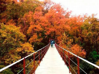 桂林6天游_桂林报团旅游_去桂林旅游得多少钱